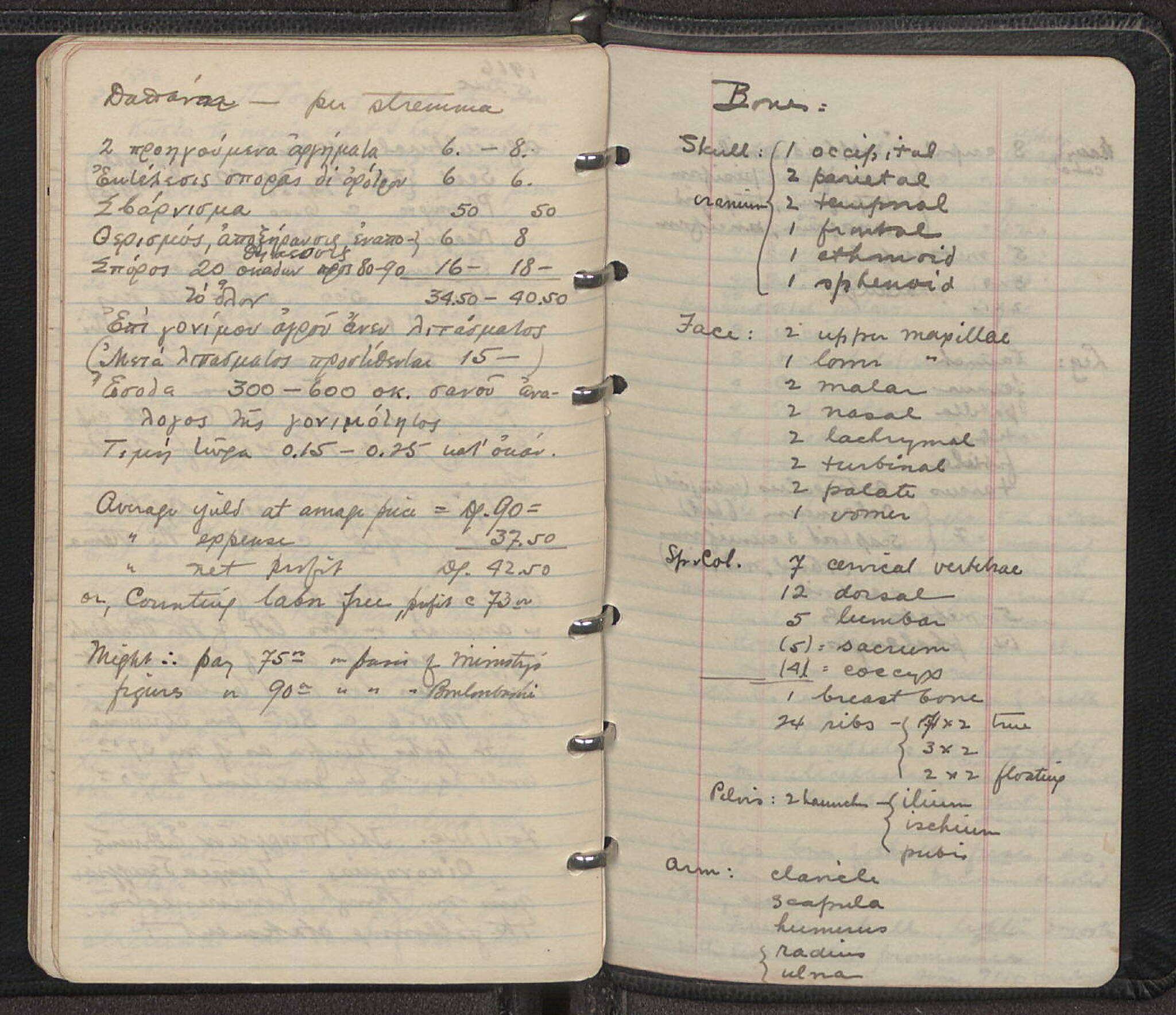 Notebook Spread