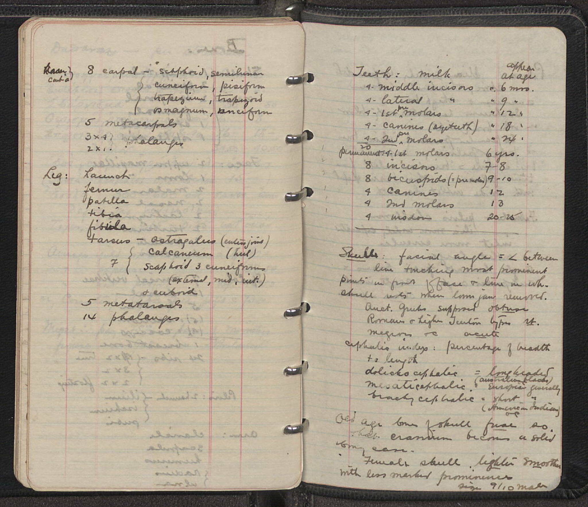 Notebook Spread