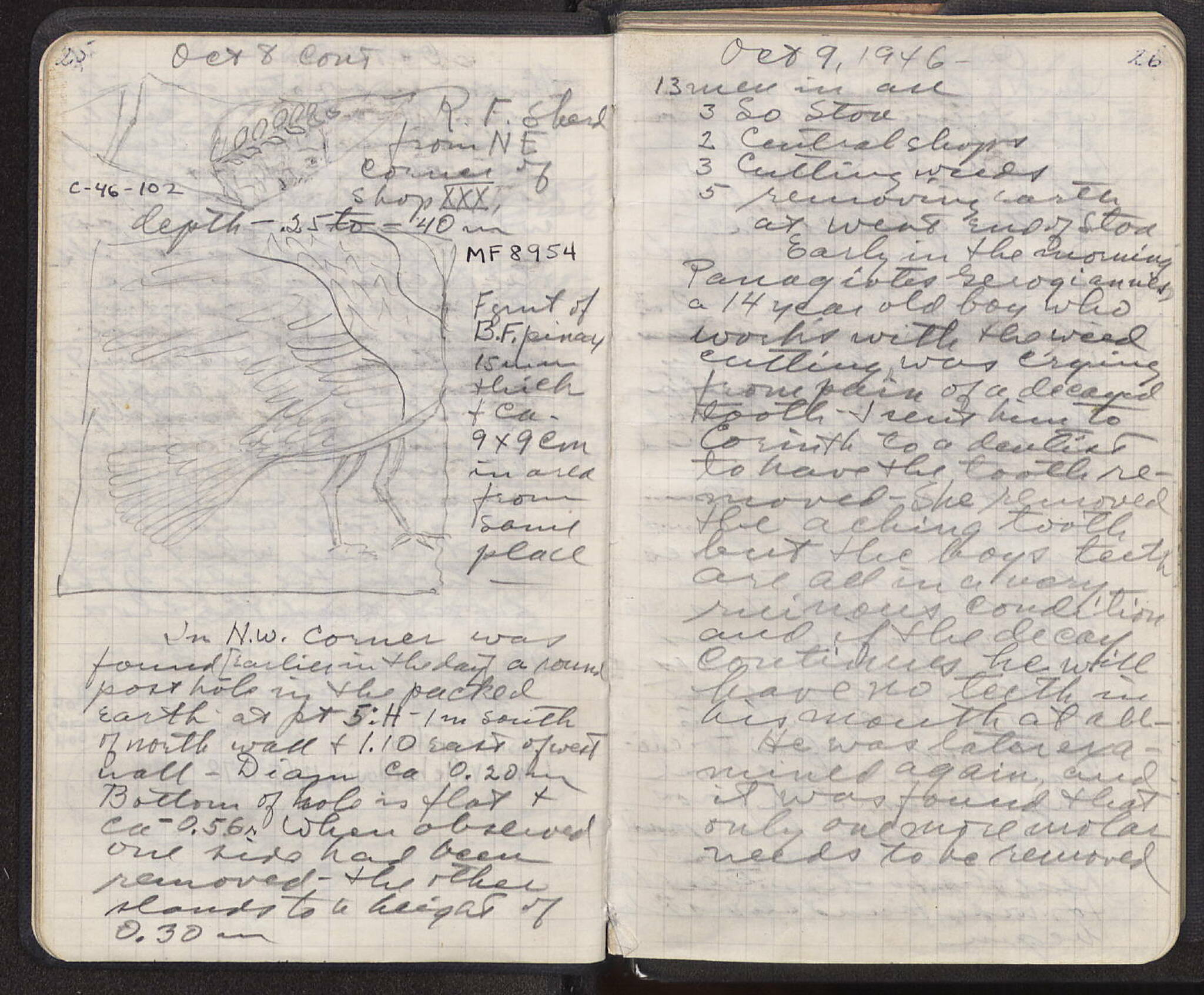 Notebook Spread
