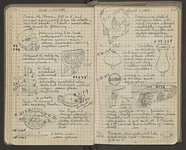 Spread 42