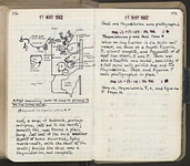 Spread 98