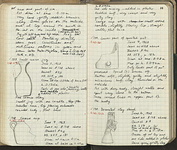 Spread 41