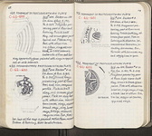 Spread 65