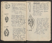 Spread 58