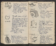 Spread 63