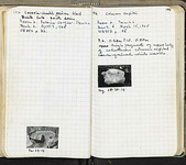 Spread 62