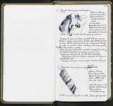Spread 8