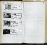 Spread 37